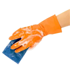 Where Cleanliness meets Care Services - 蜂鸟电竞