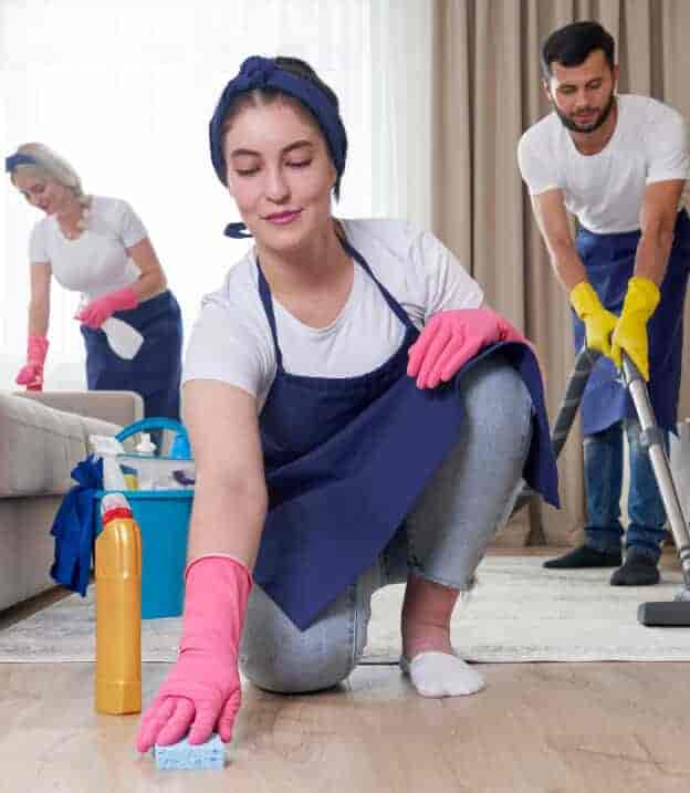 Discover the Best Cleaning Services for Your Home - 蜂鸟电竞
